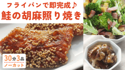 鮭の胡麻照り焼き・ブロッコリーとさつまいものホットサラダ・茄子の甘露煮