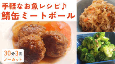 鯖缶ミートボール・メープル風味の切り干し大根・ブロッコリーの胡麻和え