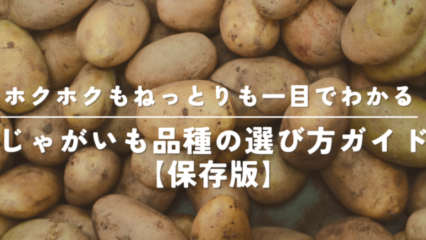 料理に迷わない!じゃがいも品種の特徴と 【料理別ベストな選び方】を徹底解説