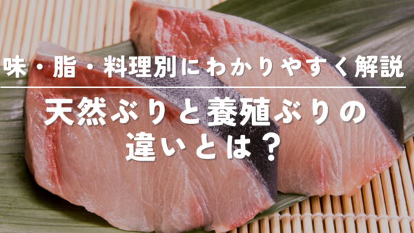 天然ぶりと養殖ぶりの違いとは?味・脂・料理別にわかりやすく解説