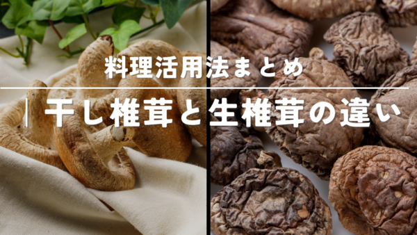 干し椎茸と生椎茸の違いとは？特徴別・料理への上手な使い分けガイド